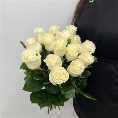 Розы белые 31001