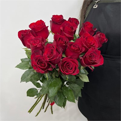 Розы красные 31003