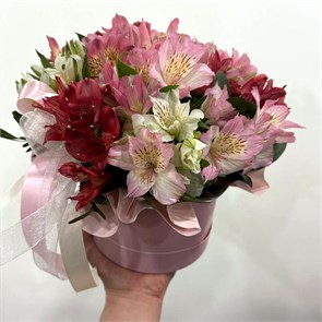 Композиция в коробке №5 122005 Композиция в коробке №5 122005