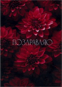 Поздравляю 51004 Поздравляю 51004