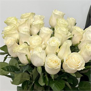 Розы белые 32002