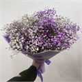 Монобукет №27 12027 - фото 1136
