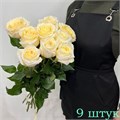 Розы кремовые 32001