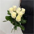 Розы белые 31001