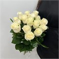 Розы белые 31001