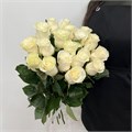 Розы белые 31001