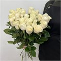 Розы белые 31001