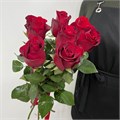 Розы красные 31003