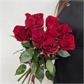 Розы красные 31003