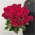 Розы красные 31003