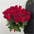 Розы красные 31003
