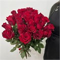 Розы красные 31003